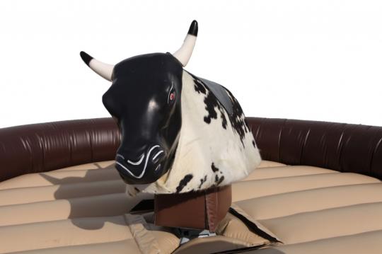 Mechanical Bull Rentals orange county ca