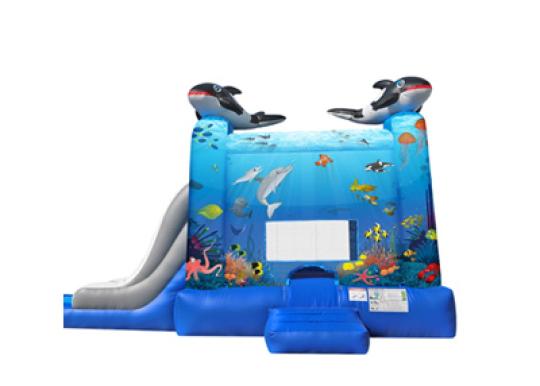under the sea inflatable combo