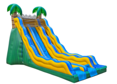 Inflatable Slides (Dry)